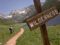 Wilderness Sign