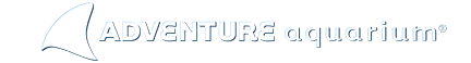 Adventure Aquarium